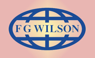 ✓ FG-Wilson 00000-00012 Запчасти Перкинс / Вилсон 